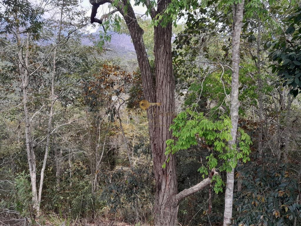 Terreno Residencial à venda em Cascata do Imbuí, Teresópolis - RJ